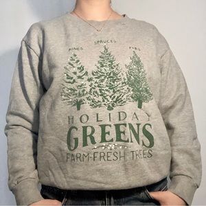 J Crew Holiday Greens Gray Sweatshirt